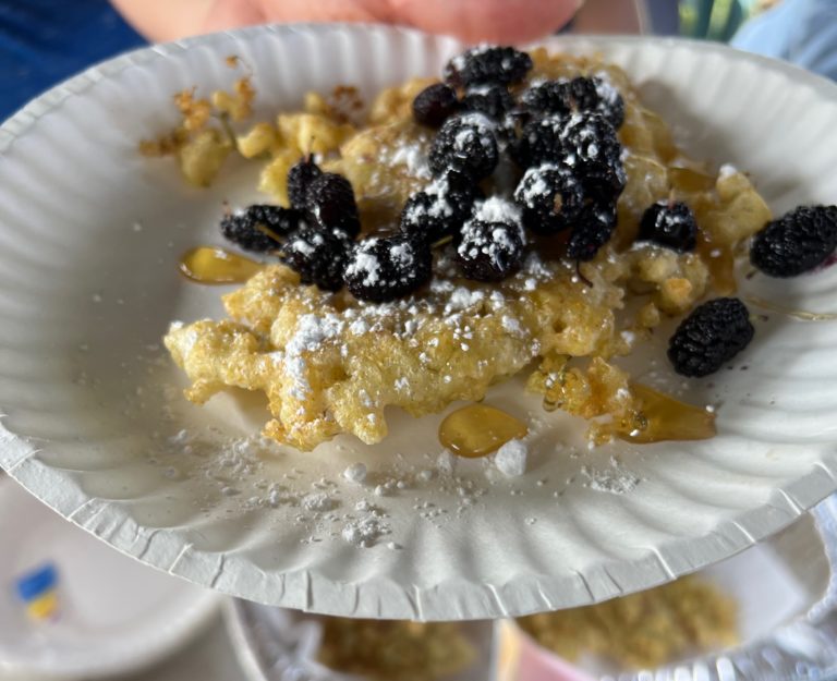 Foraging for locally grown food teaches you that food is EVERYWHERE!