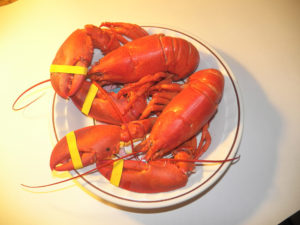 Lobster!